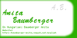 anita baumberger business card